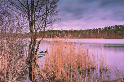 Scenic view of lake against sky