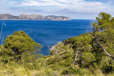 Scenic view from the peninsula la victoria, mallorca