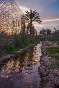 Canal amidst trees against sky during sunset