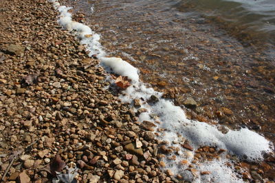 High angle view of pebbles in water