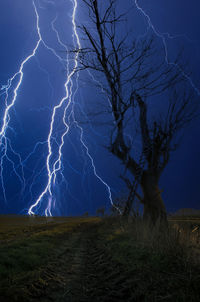 Bare tree on landscape against sky at night