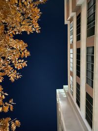 Low angle view of buildings against sky at night