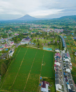 aerial photography