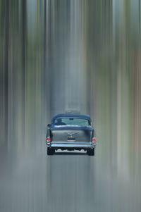 Journey into the unreal