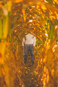 Low section of man seen through plants on field