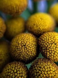 Close-up of fruit