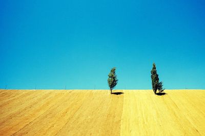 Scenic view of field against clear blue sky