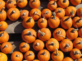 Full frame shot of pumpkins for sale