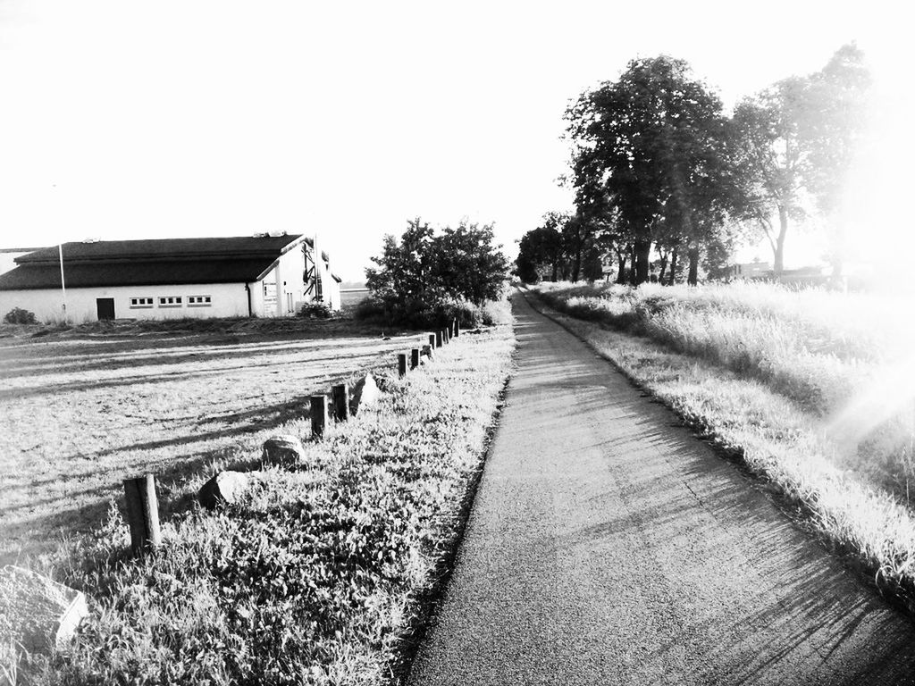 the way forward, diminishing perspective, clear sky, tree, vanishing point, built structure, architecture, building exterior, sky, transportation, pathway, empty, grass, walkway, copy space, day, outdoors, house, growth, nature