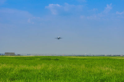 Airplane flying over field against sky