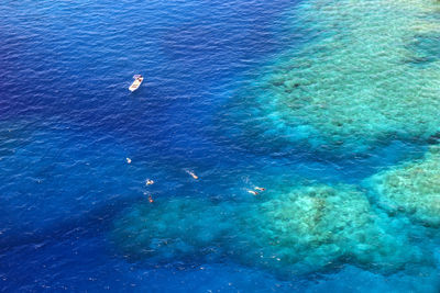 High angle view of people swimming in pool