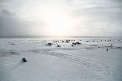 Seashore in winter with ice