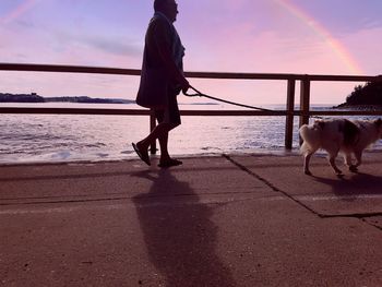 Full length of a dog standing on beach