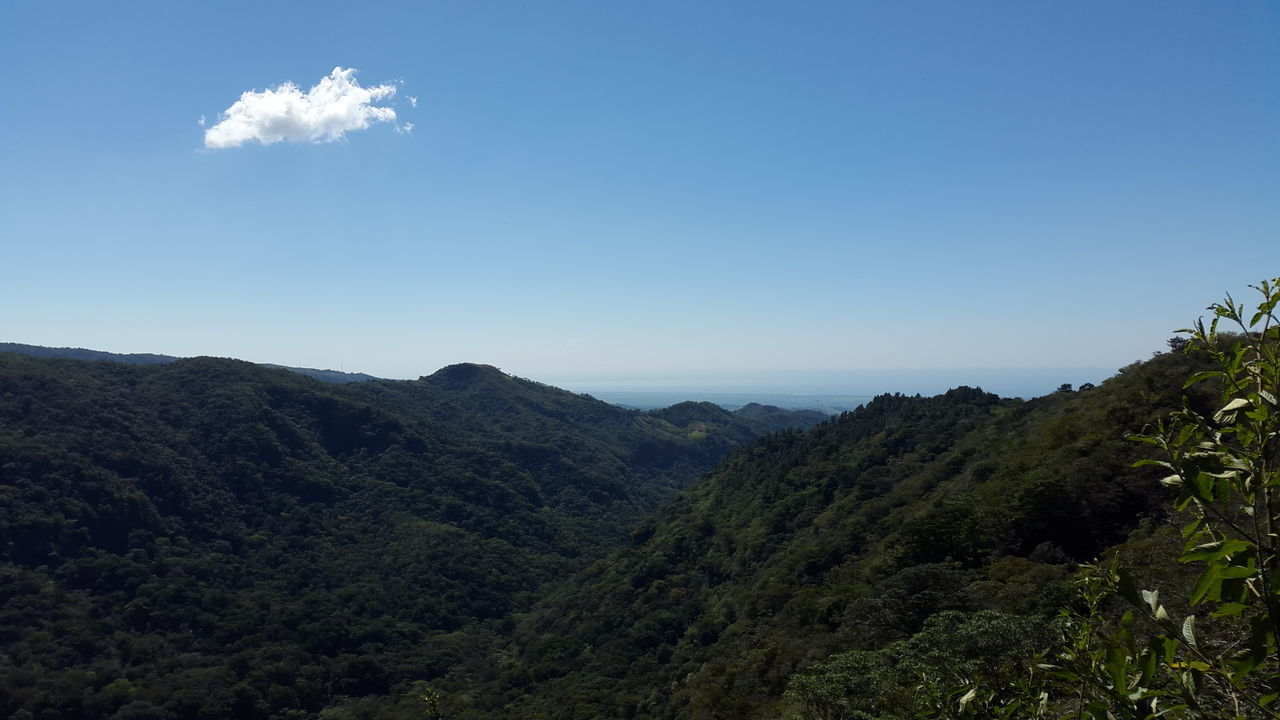 tranquil scene, tranquility, scenics, mountain, beauty in nature, clear sky, tree, blue, copy space, nature, landscape, non-urban scene, idyllic, mountain range, sky, growth, forest, non urban scene, day, outdoors