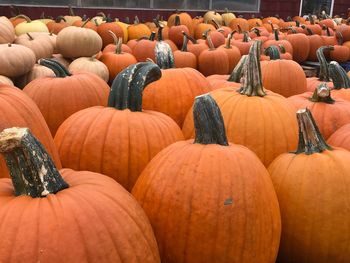 Stack of pumpkins in market