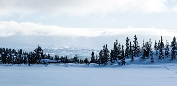 Scenic view of snow covered mountains against sky