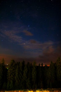 Scenic view of trees against sky at night