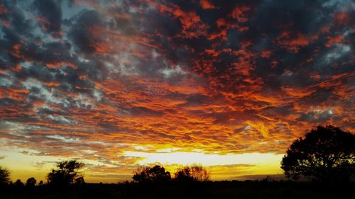 Low angle view of dramatic sky over silhouette trees