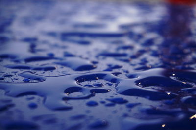 Reflection of trees in water