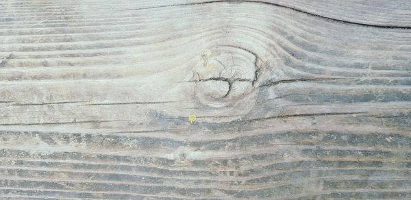 Full frame shot of weathered wooden wall