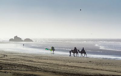 Group of people riding horse on beach