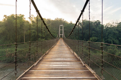 Footbridge amidst trees in forest against sky