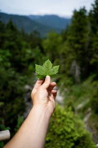 Close-up of hand holding autumn leaf