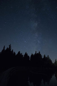 Scenic view of silhouette trees against sky at night