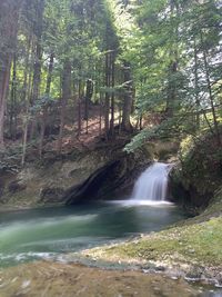 Scenic view of waterfall in forest