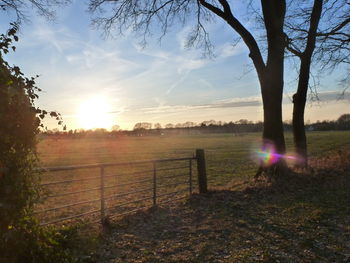 Scenic view of field against sky at sunset