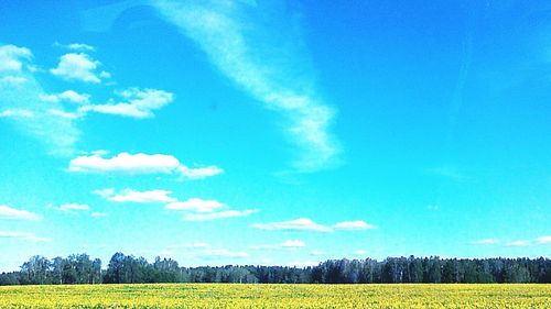 Scenic view of field against cloudy sky