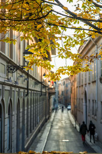 Street amidst buildings in city