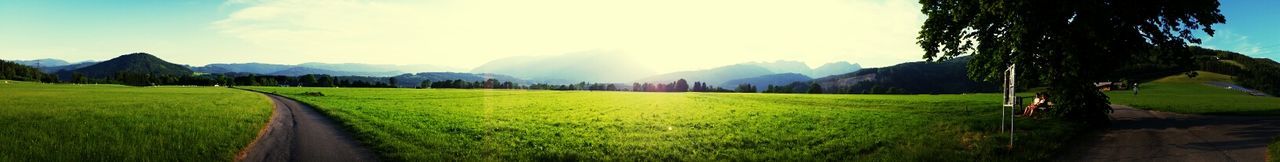 Scenic view of grassy field against sky