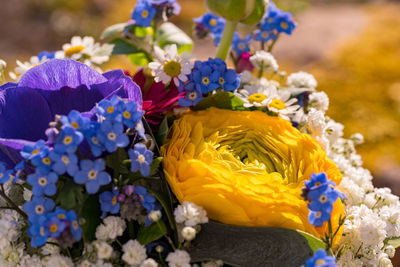 Close-up of flowers