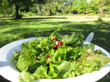 Close-up of salad in plate