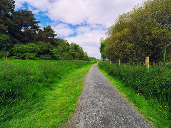 Road amidst trees against sky