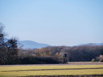 Scenic view of field against clear sky
