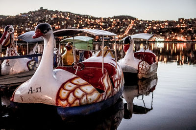 View of a bird in a lake
