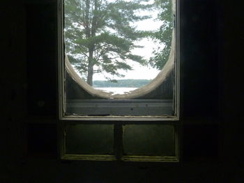 Trees seen through window