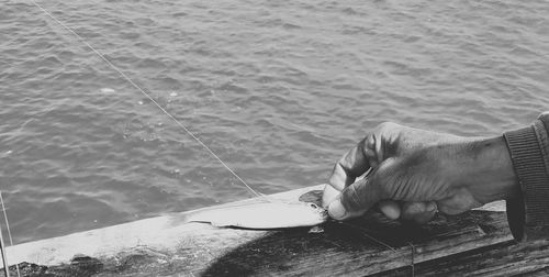 Cropped hand of man holding fish on retaining wall