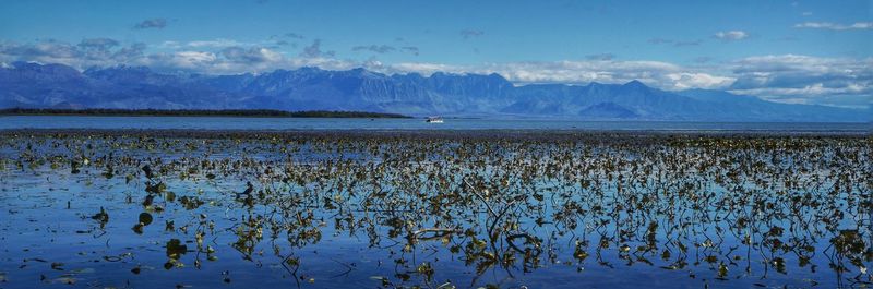 Scenic view of lake against sky