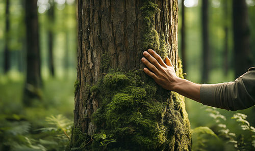 Cropped hand of woman standing in forest