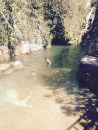 High angle view of ducks swimming in lake