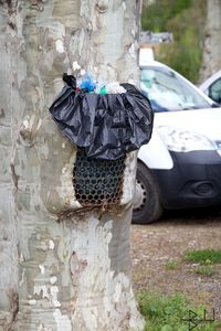 Garbage on tree trunk against wall