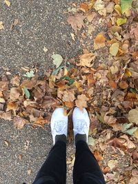 Low section of man standing on fallen leaves