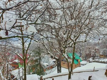 Snow covered bare trees against sky