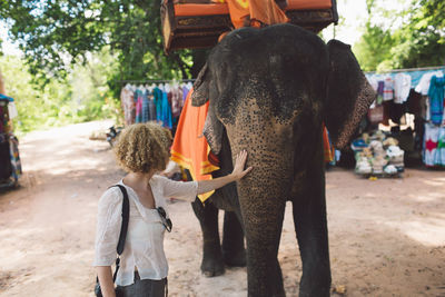 Woman touching elephant