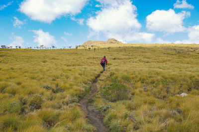 A hiker against a mountain background at the la satima dragons teeth in the aberdares, kenya