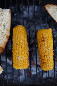 Cooking corn on the cob on the grill, outside the house