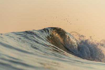 Scenic view of desert
